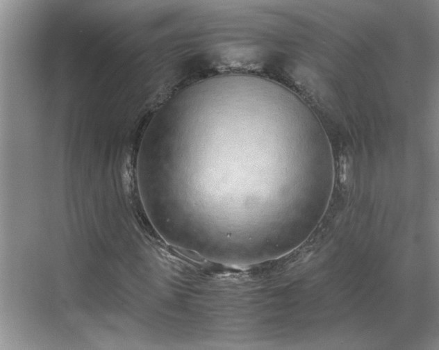 X0000070430915200606161500