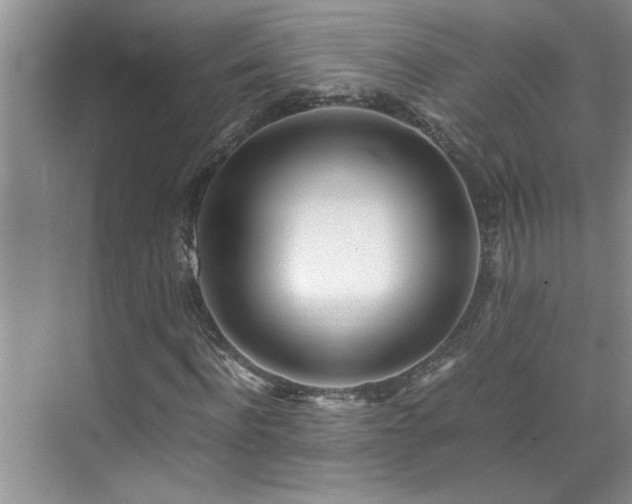 X0000070430916200606161500