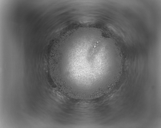 X0000070430917200606161500