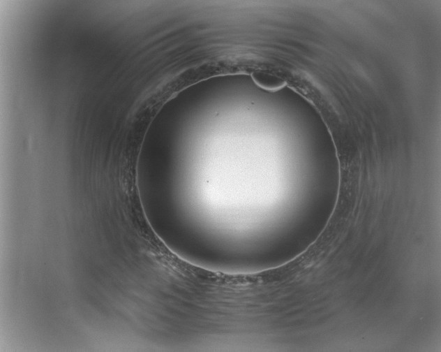 X0000070430919200606161500