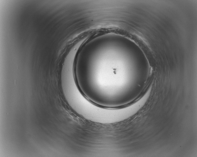 X0000070430920200606161500