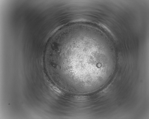 X0000070430921200606161500