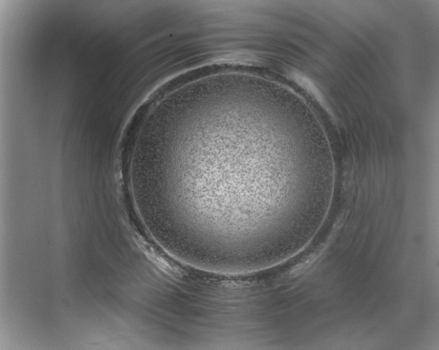 X0000070430923200606161500