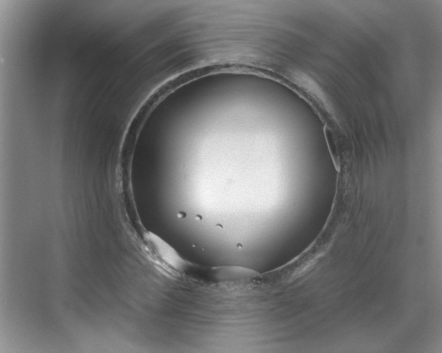 X0000070430924200606161500