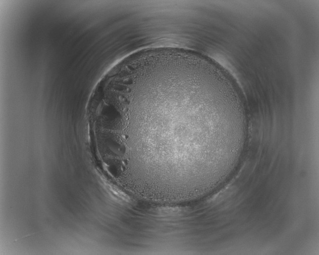 X0000070430925200606161500