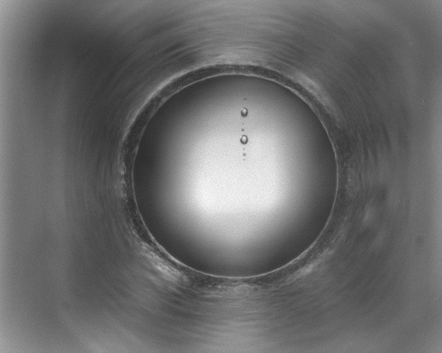 X0000070430926200606161500