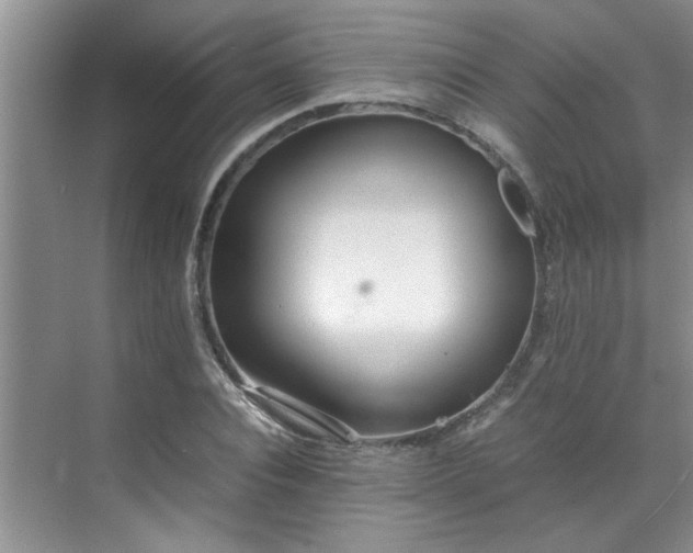 X0000070430928200606161500