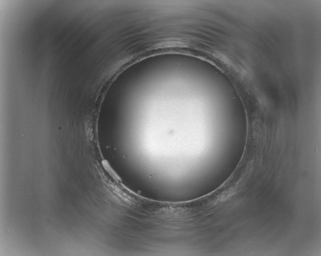 X0000070430929200606161500