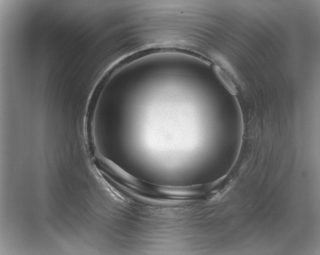 X0000070430932200606161500