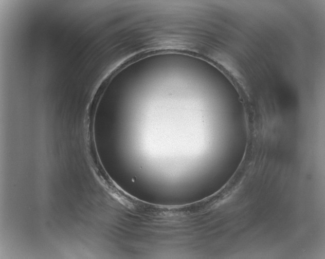 X0000070430933200606161500