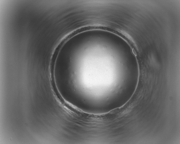 X0000070430935200606161500