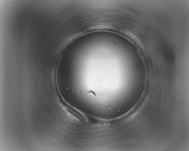 X0000070430937200606161500