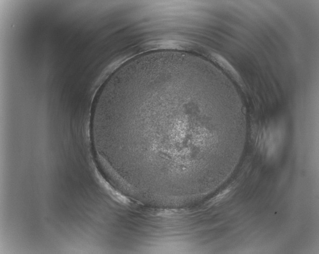 X0000070430938200606161500