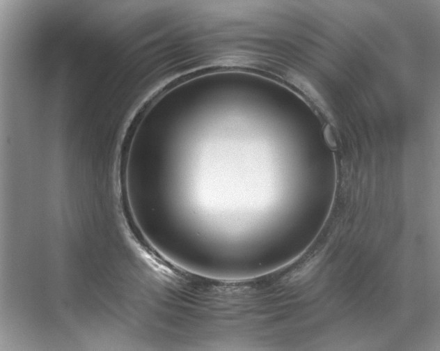 X0000070430939200606161500