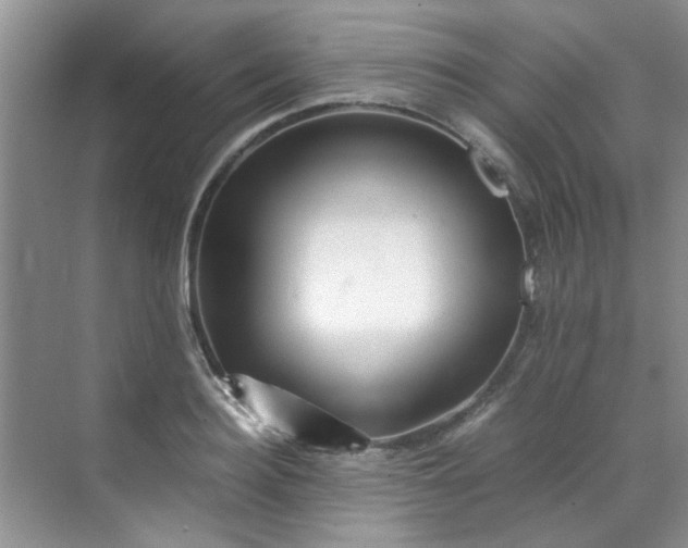 X0000070430940200606161500