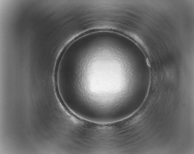 X0000070430943200606161500