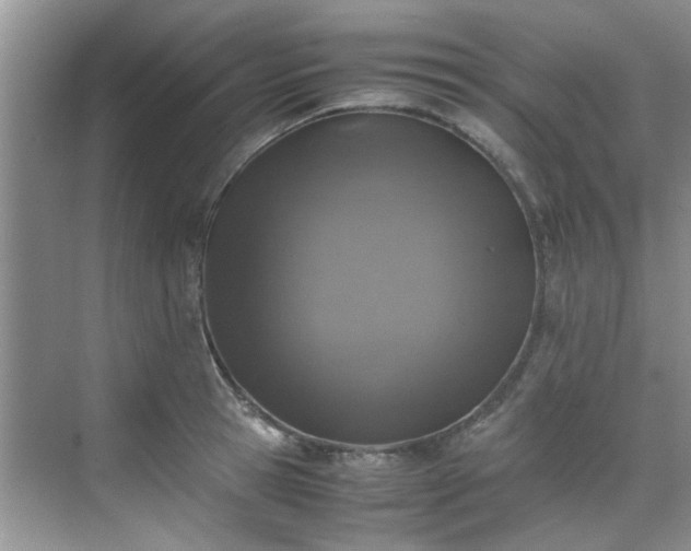 X0000070430945200606161500