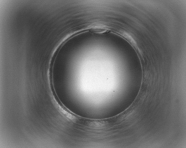 X0000070430947200606161500