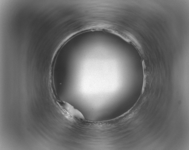 X0000070430948200606161500