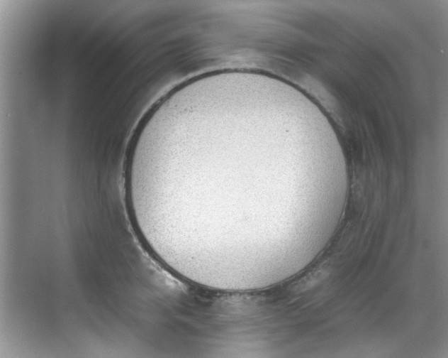 X0000070430950200606161500