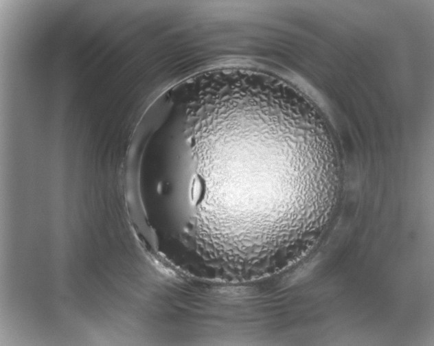 X0000070430953200606161500