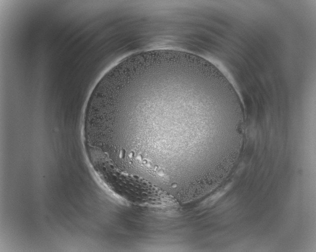 X0000070430957200606161500