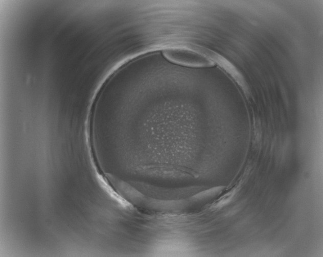 X0000070430958200606161500