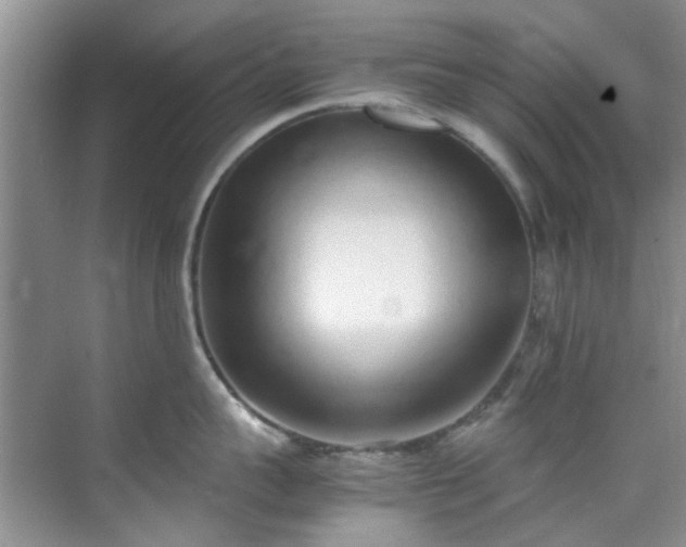 X0000070430959200606161500