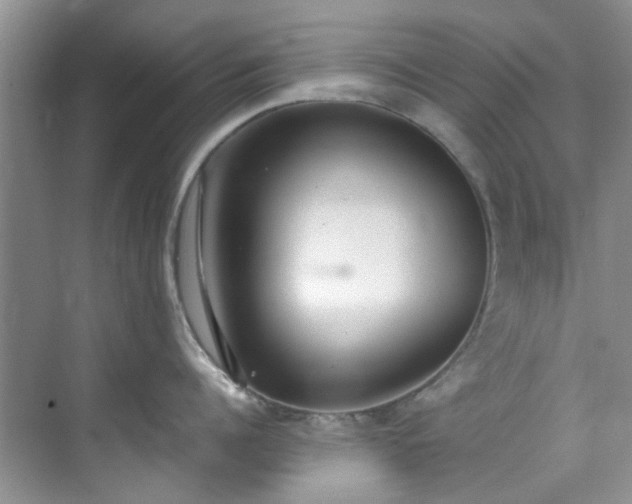 X0000070430960200606161501