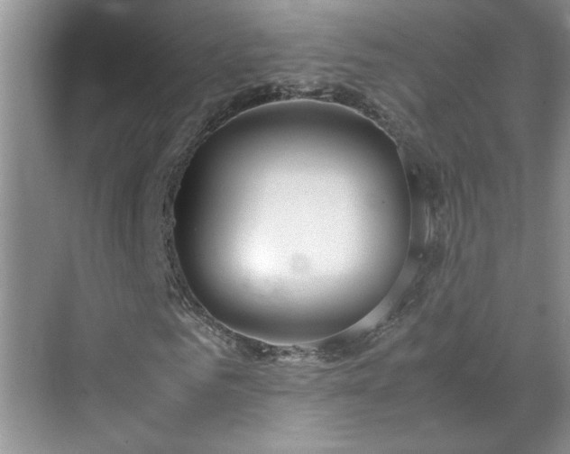 X0000070430961200606161500