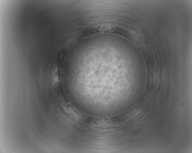 X0000070430962200606161500