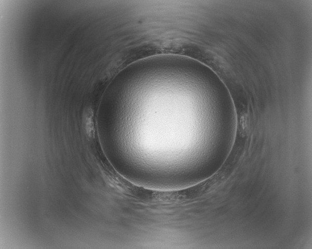 X0000070430963200606161500