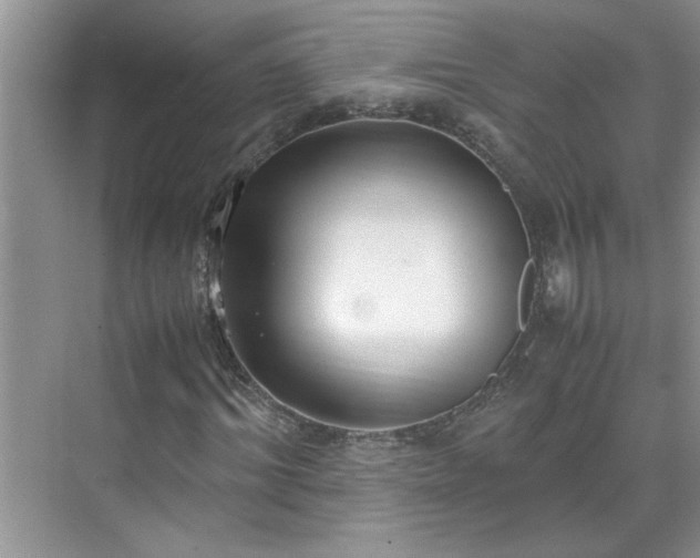 X0000070430964200606161500