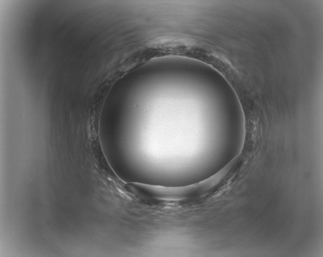 X0000070430965200606161500