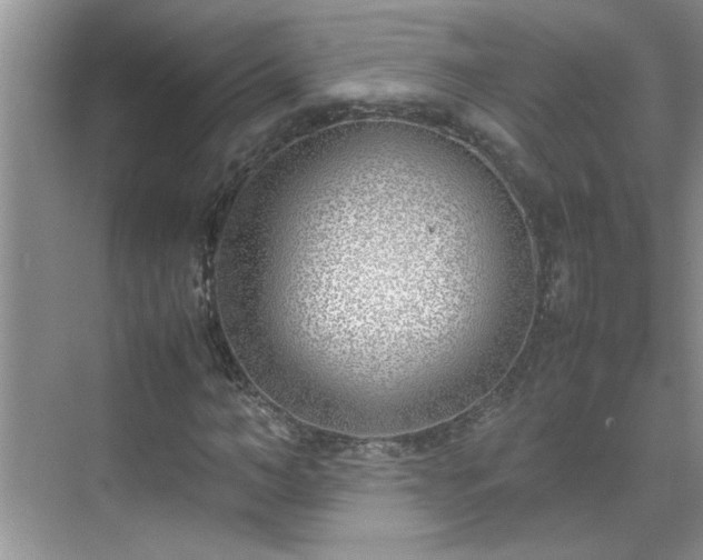 X0000070430966200606161500