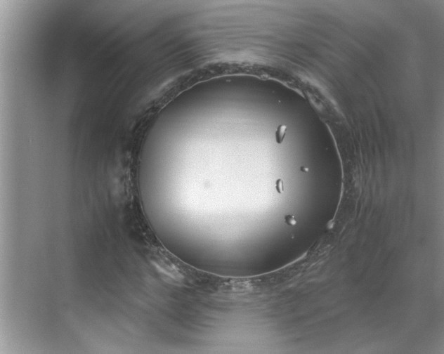 X0000070430968200606161500