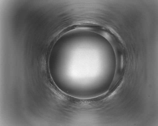 X0000070430969200606161500