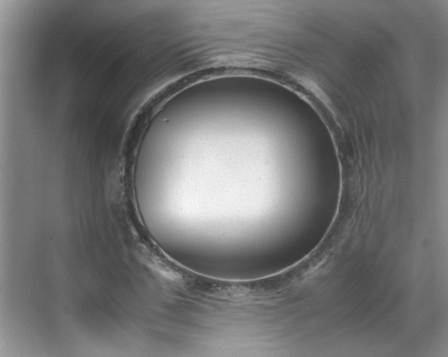 X0000070430971200606161500