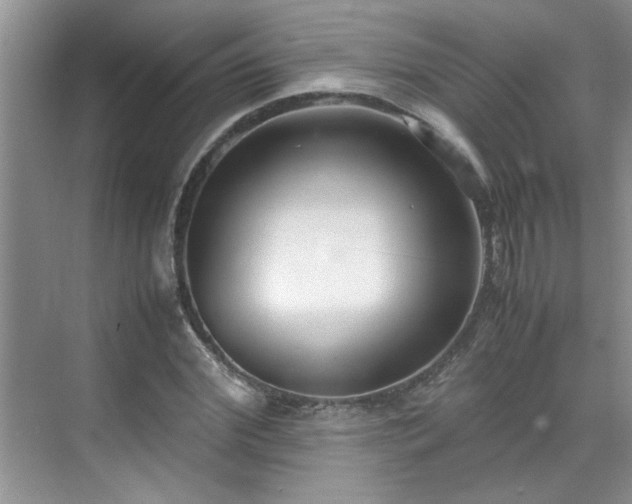 X0000070430972200606161500