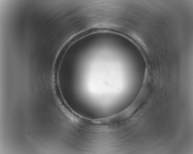 X0000070430976200606161459