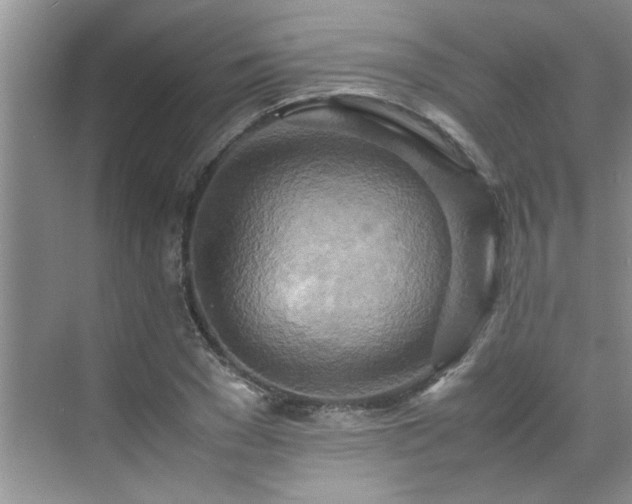 X0000070430977200606161459