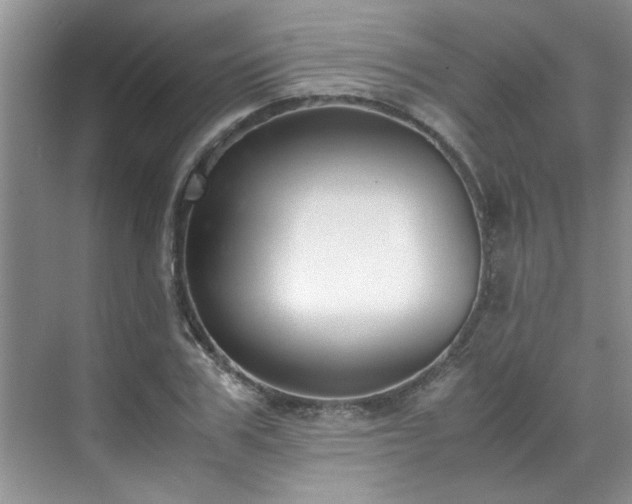 X0000070430979200606161459