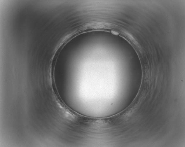 X0000070430986200606161459