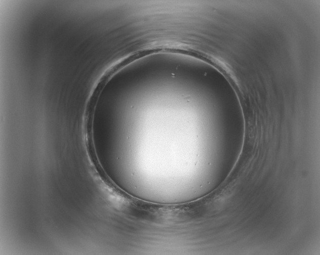 X0000070430987200606161459