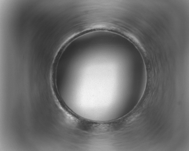 X0000070430991200606161459