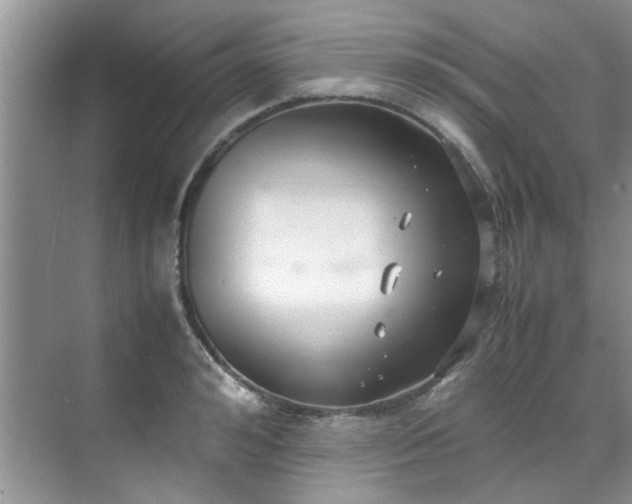 X0000070430992200606161459