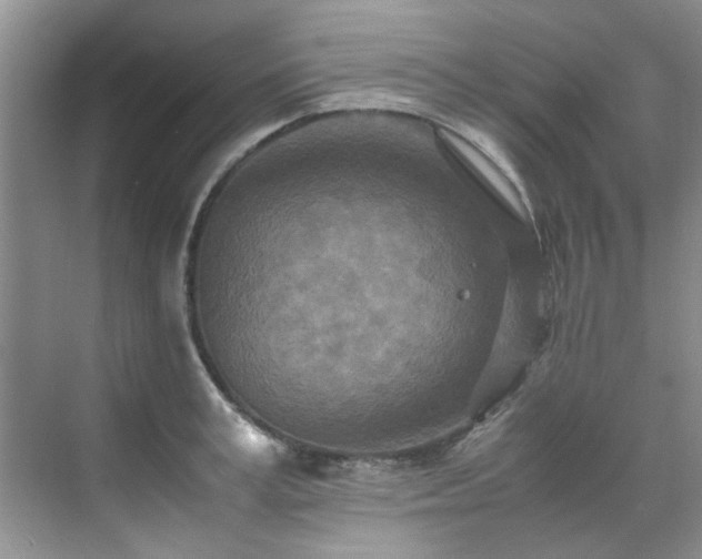 X0000070430995200606161459