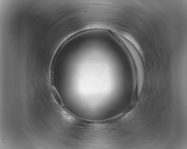 X0000070430996200606161459