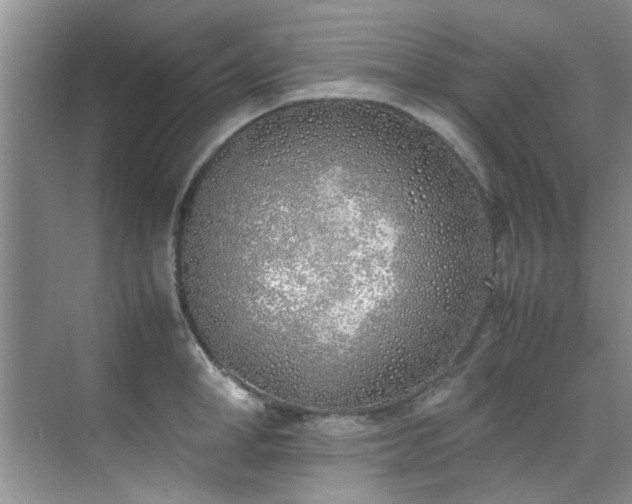 X0000070430998200606161459