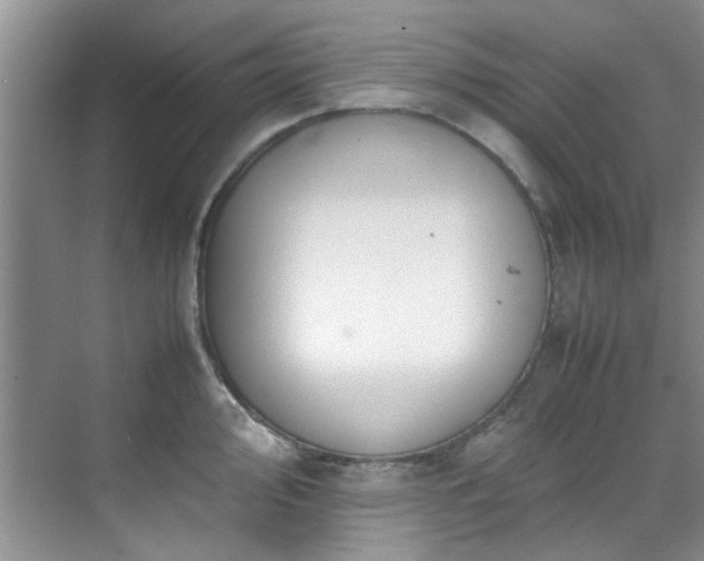 X0000070431000200606161459